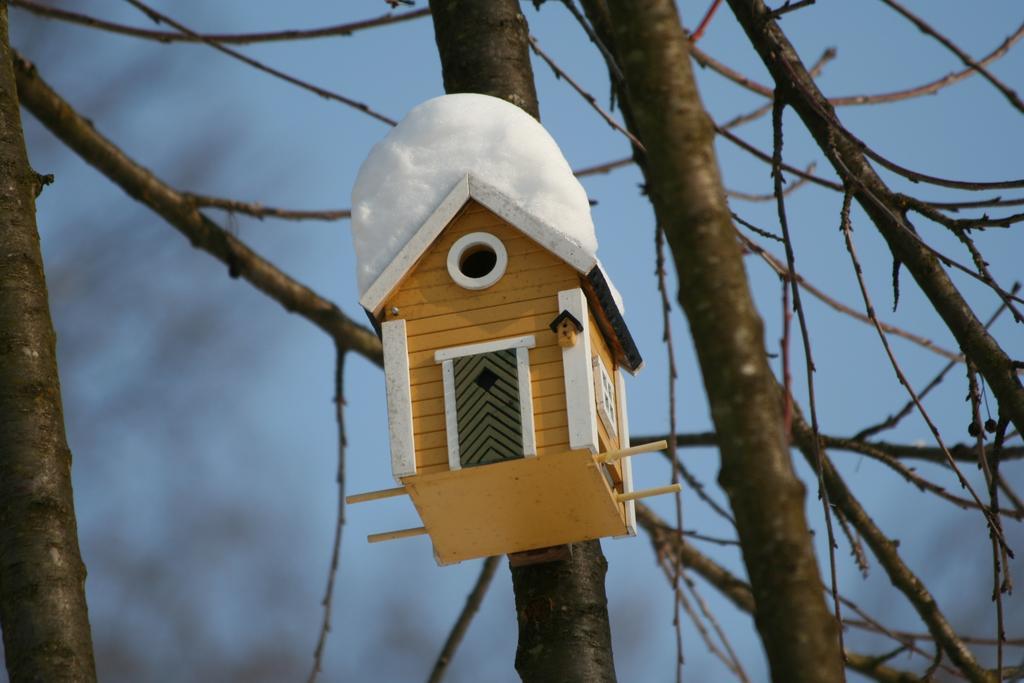 B&B La Casa Di Campagna Bergamo Kültér fotó