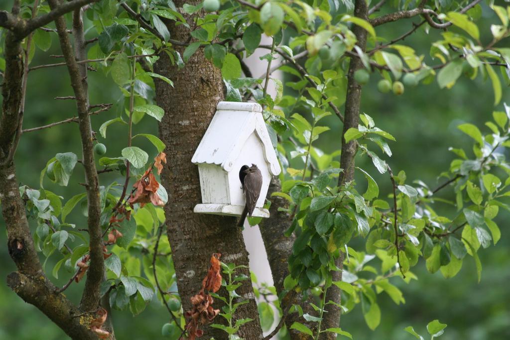 B&B La Casa Di Campagna Bergamo Kültér fotó