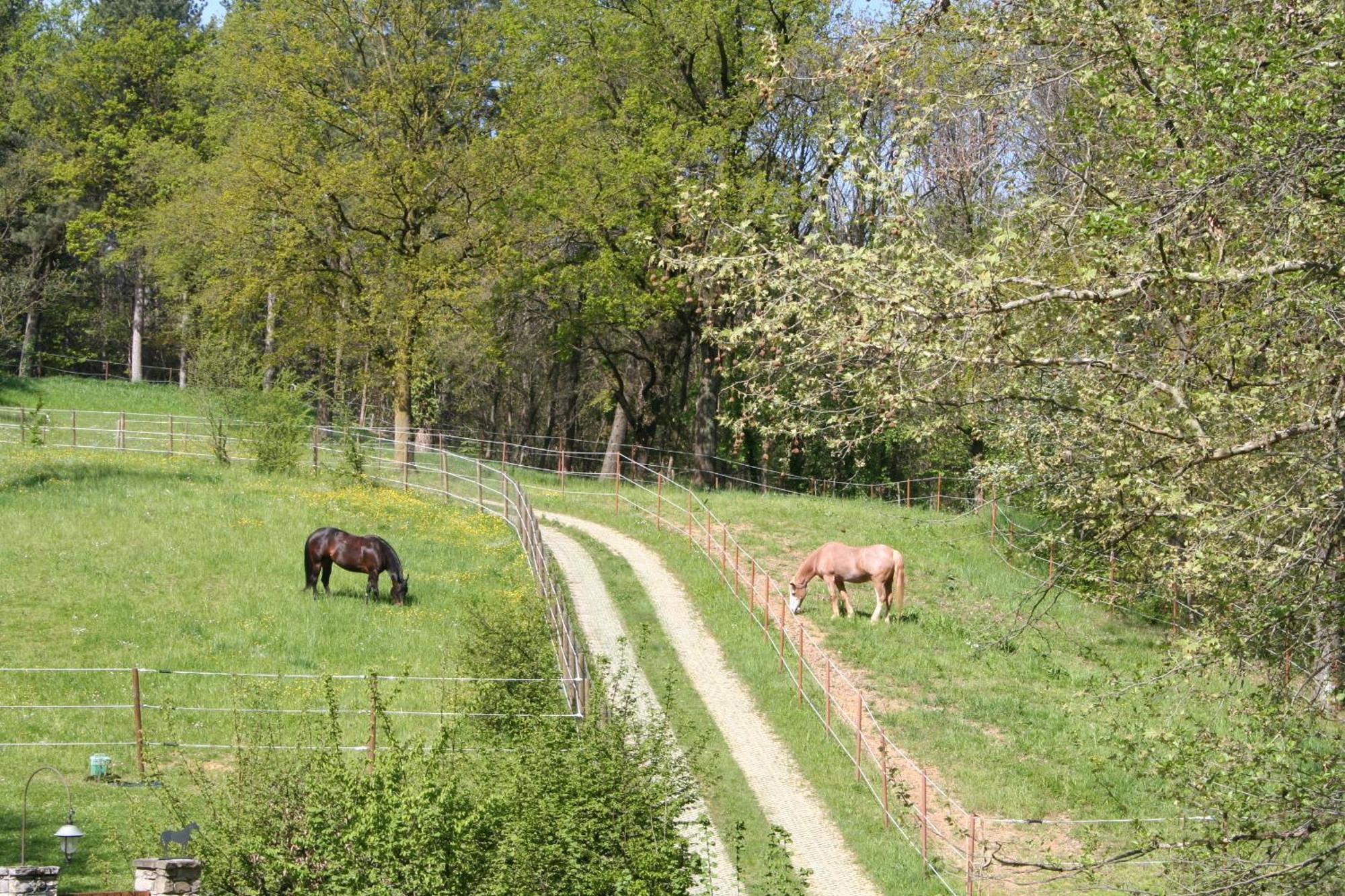 B&B La Casa Di Campagna Bergamo Kültér fotó