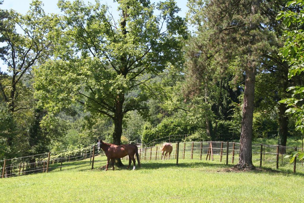 B&B La Casa Di Campagna Bergamo Kültér fotó