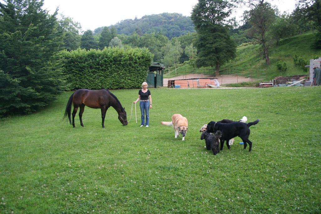 B&B La Casa Di Campagna Bergamo Kültér fotó