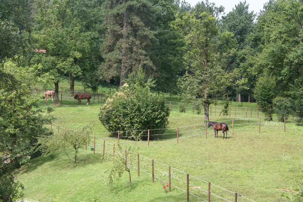 B&B La Casa Di Campagna Bergamo Kültér fotó