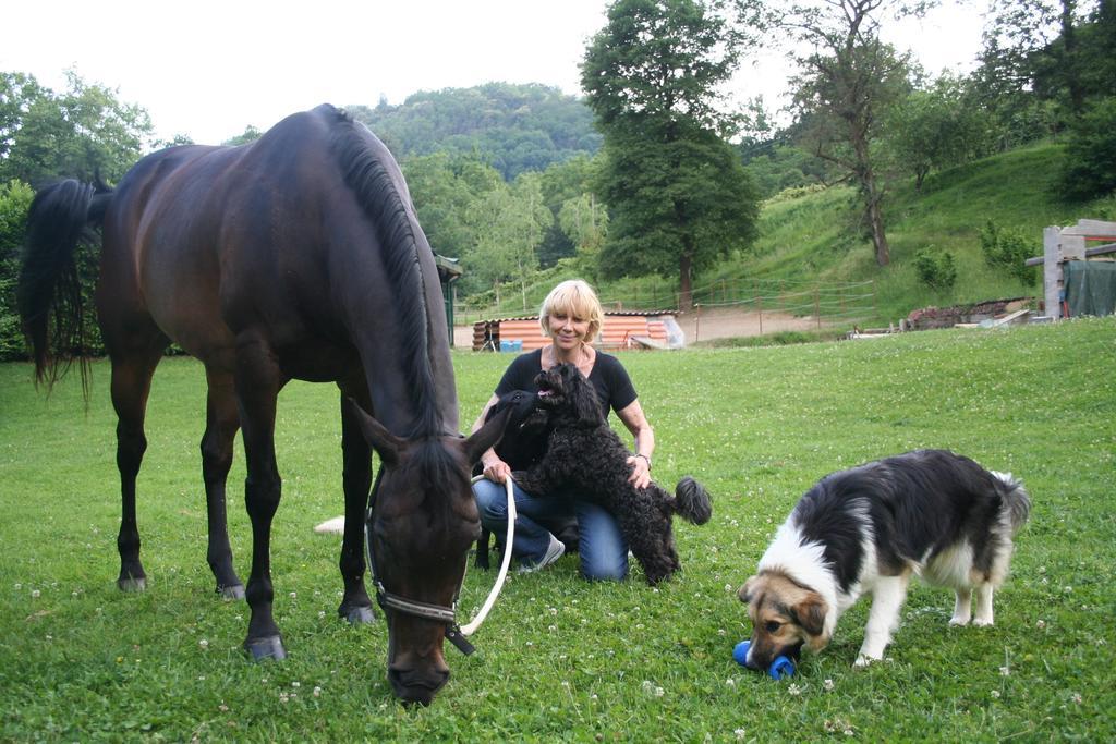 B&B La Casa Di Campagna Bergamo Kültér fotó